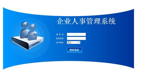 企業(yè)員工信息管理系統(tǒng)的設(shè)計與實現(xiàn) 基于管理咨詢視角的優(yōu)化策略